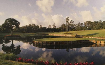 Dubious Dye Debut – Pete & Alice Dye