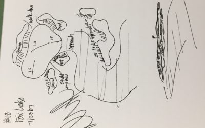 Eternal Optimism-Moving Heaven and Earth – Denis Griffiths