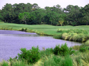 Golf course architect Clyde Johnston utilized pre-cleared areas to minimally impact the course's surrounding wooded environment.