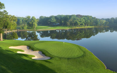Jones, ASGCA, brings Longleaf Tee System to Medinah No. 2