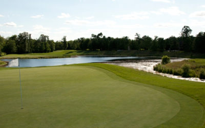 Crace, ASGCA, includes Longleaf System as part of Refuge Golf Course renovation