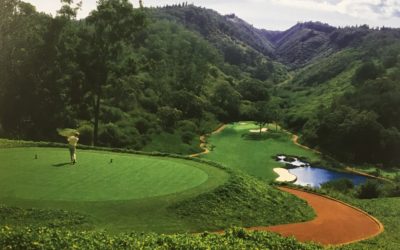 Facing Down “The Donald” Trump – Drew Rogers