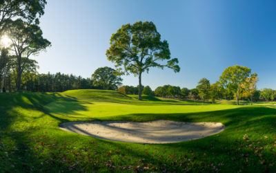 Though some work is on hold, most projects continue apace for ASGCA members