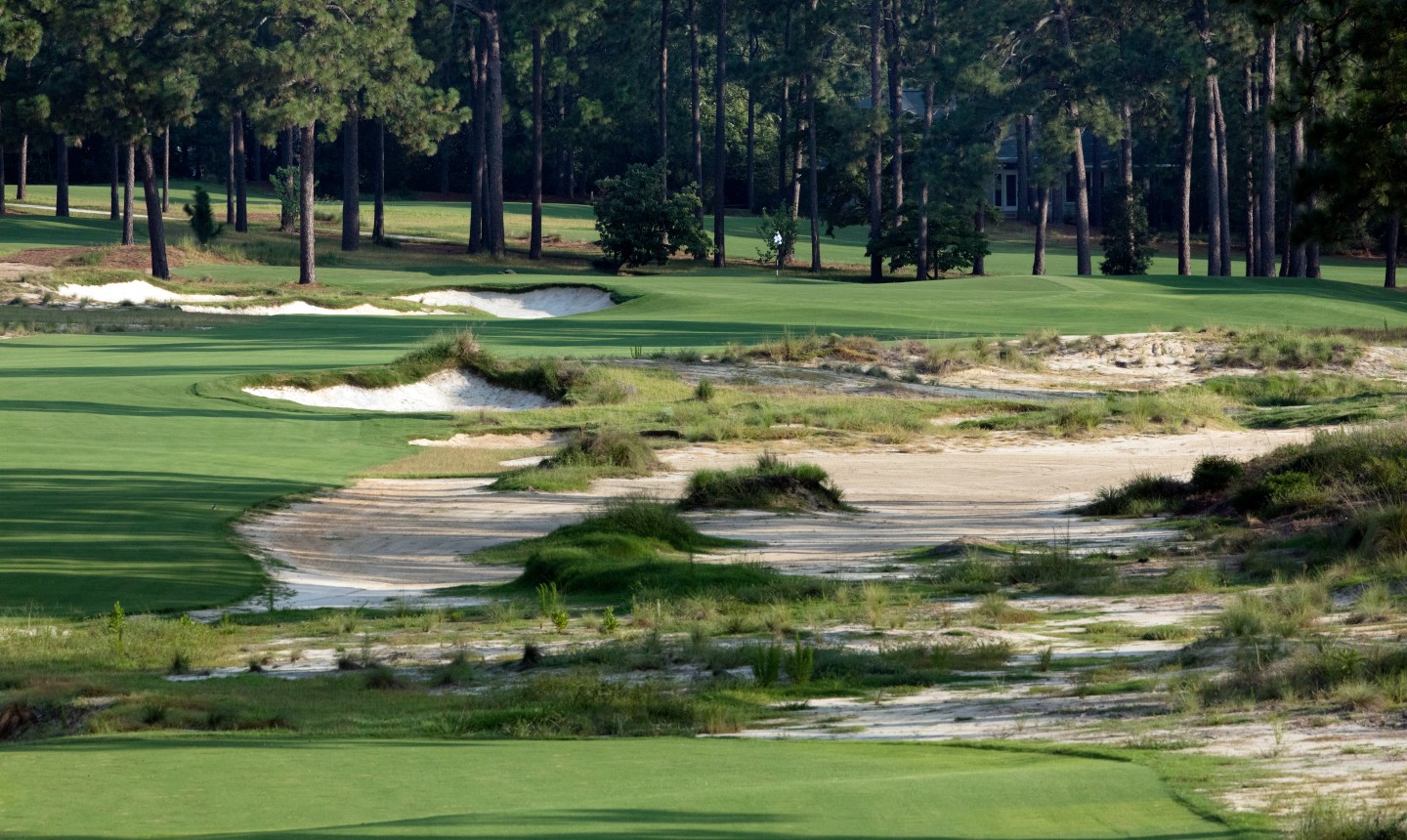 Pinehurst No. 4 reopens as a complete 'retrovation' from Hanse, ASGCA