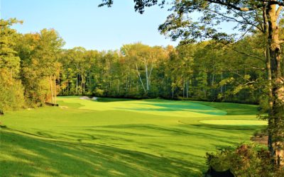 2018 Design Excellence Recognition Program honorees announced by ASGCA