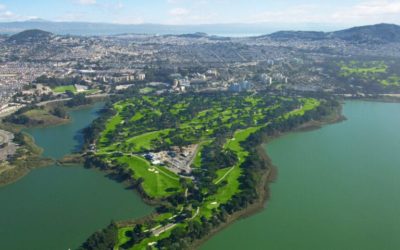 ASGCA members discuss TPC/Harding Park ahead of PGA Championship