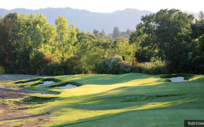 2020 Environmental Excellence Awards honorees announced by ASGCA