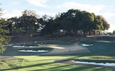 From Disney to Costello, renovation continues at Palo Alto Hills